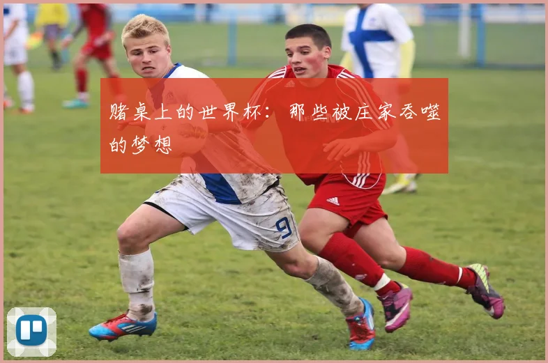 赌桌上的世界杯：那些被庄家吞噬的梦想