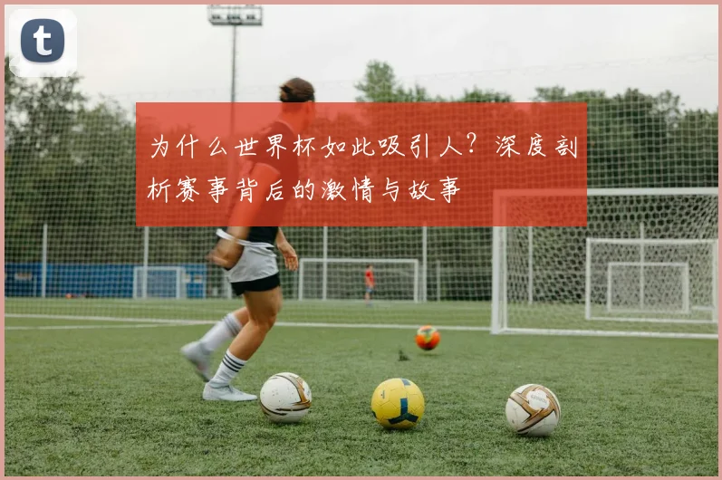 为什么世界杯如此吸引人？深度剖析赛事背后的激情与故事