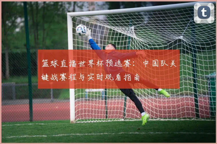 篮球直播世界杯预选赛：中国队关键战赛程与实时观看指南
