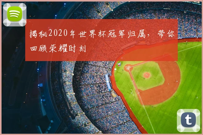 揭秘2020年世界杯冠军归属,带你回顾荣耀时刻