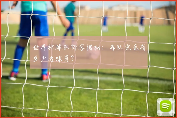世界杯球队阵容揭秘：每队究竟有多少名球员？